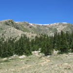 Baldy